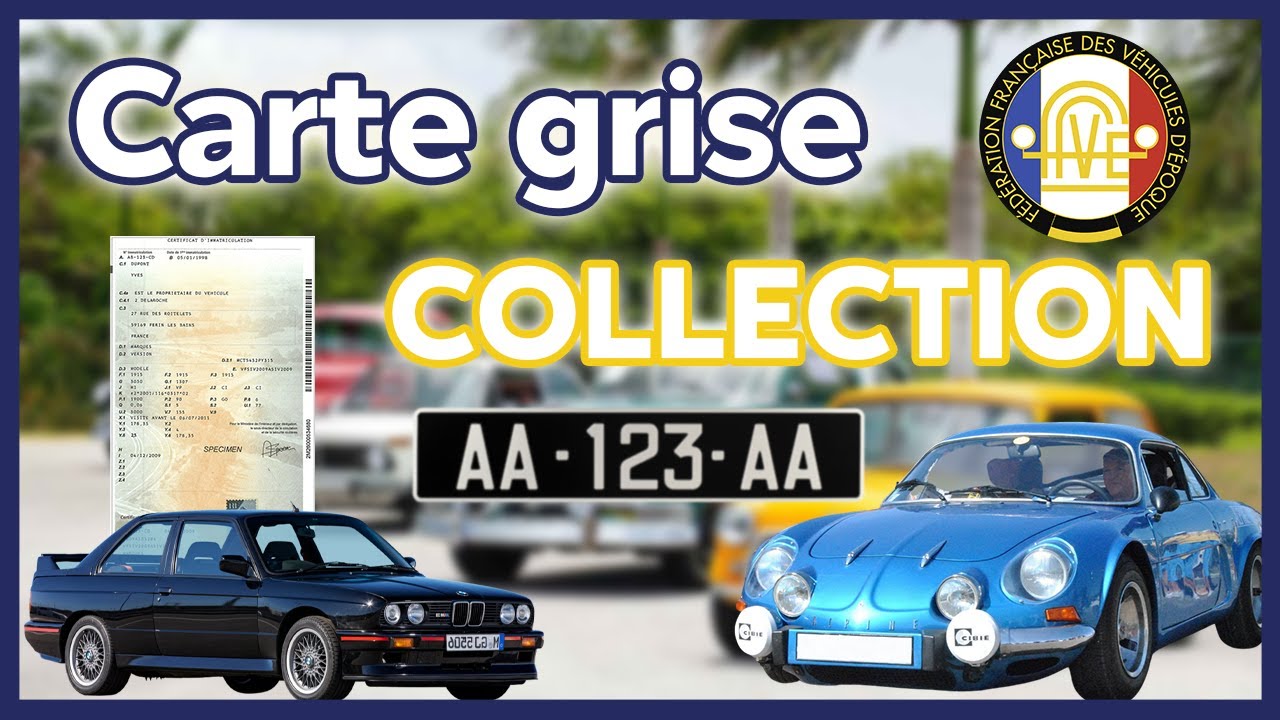 AVOIR une CARTE GRISE COLLECTION à tous les COUPS ?! 🔥😲