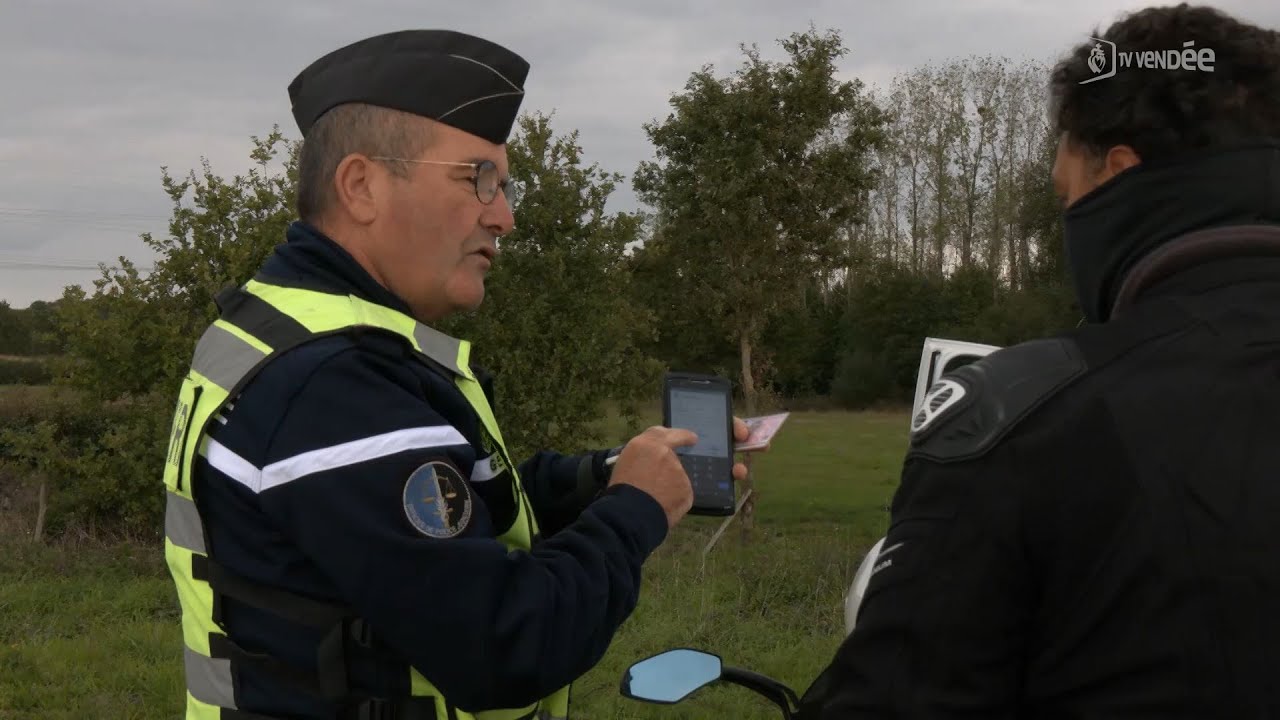 Fraude aux plaques d'immatriculation : une dizaine de garagistes de Vendée arnaqués