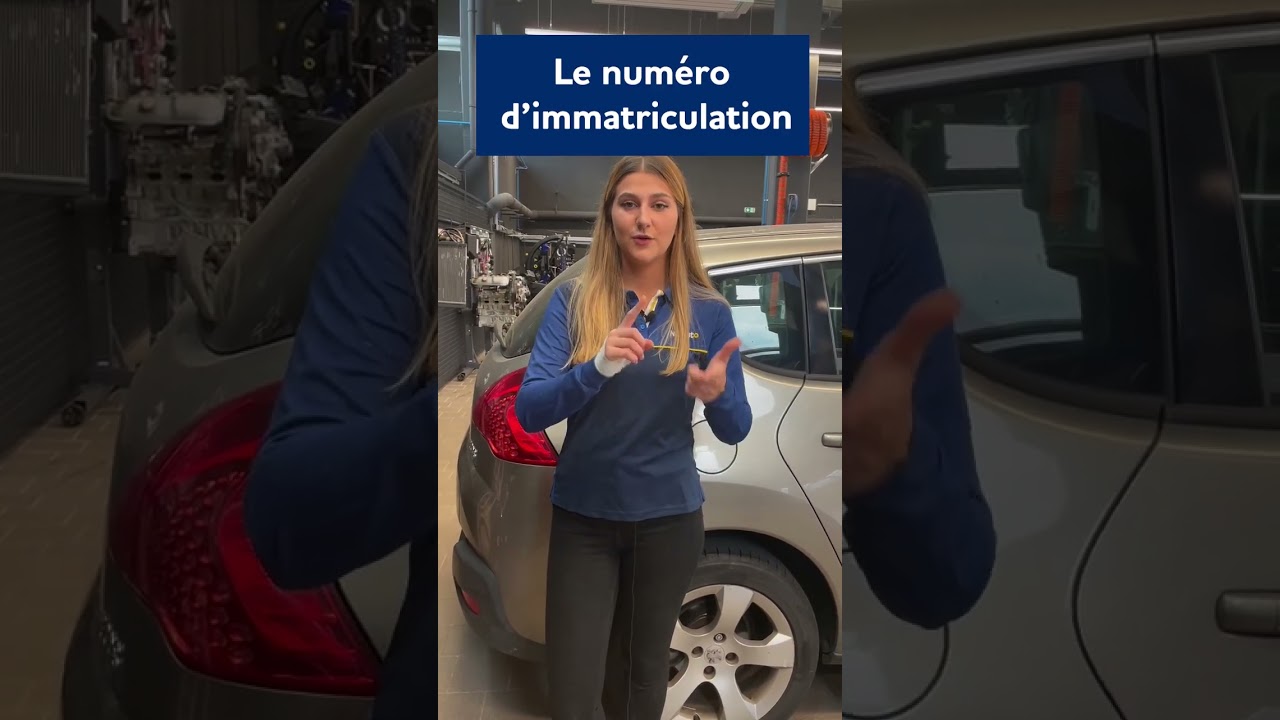 Tout savoir sur le certificat d'immatriculation